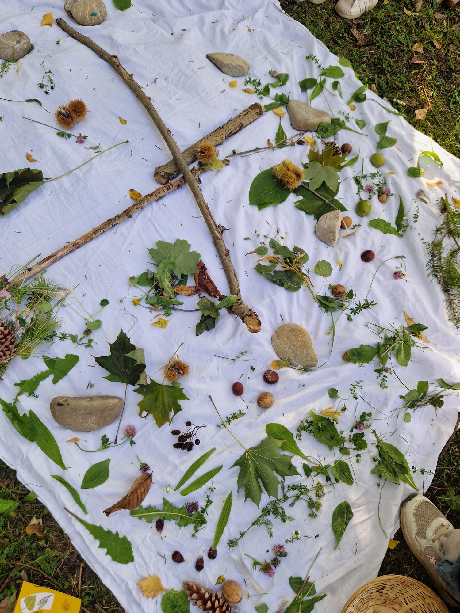 waldmandala großaufnahme