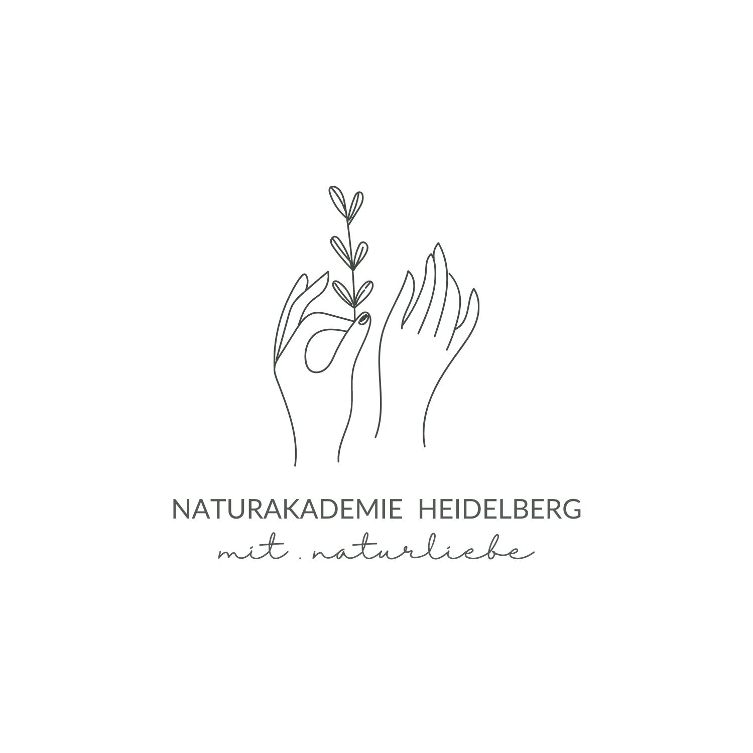 Raum & Netzwerk Logo