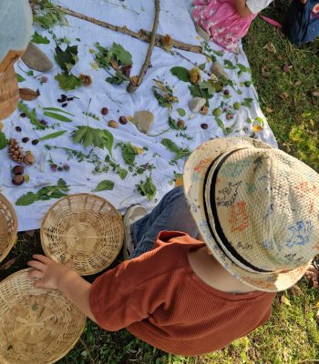 david mit kräuterkorb