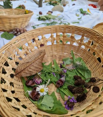 kräuterkob groß mit mandalas im hintergrund