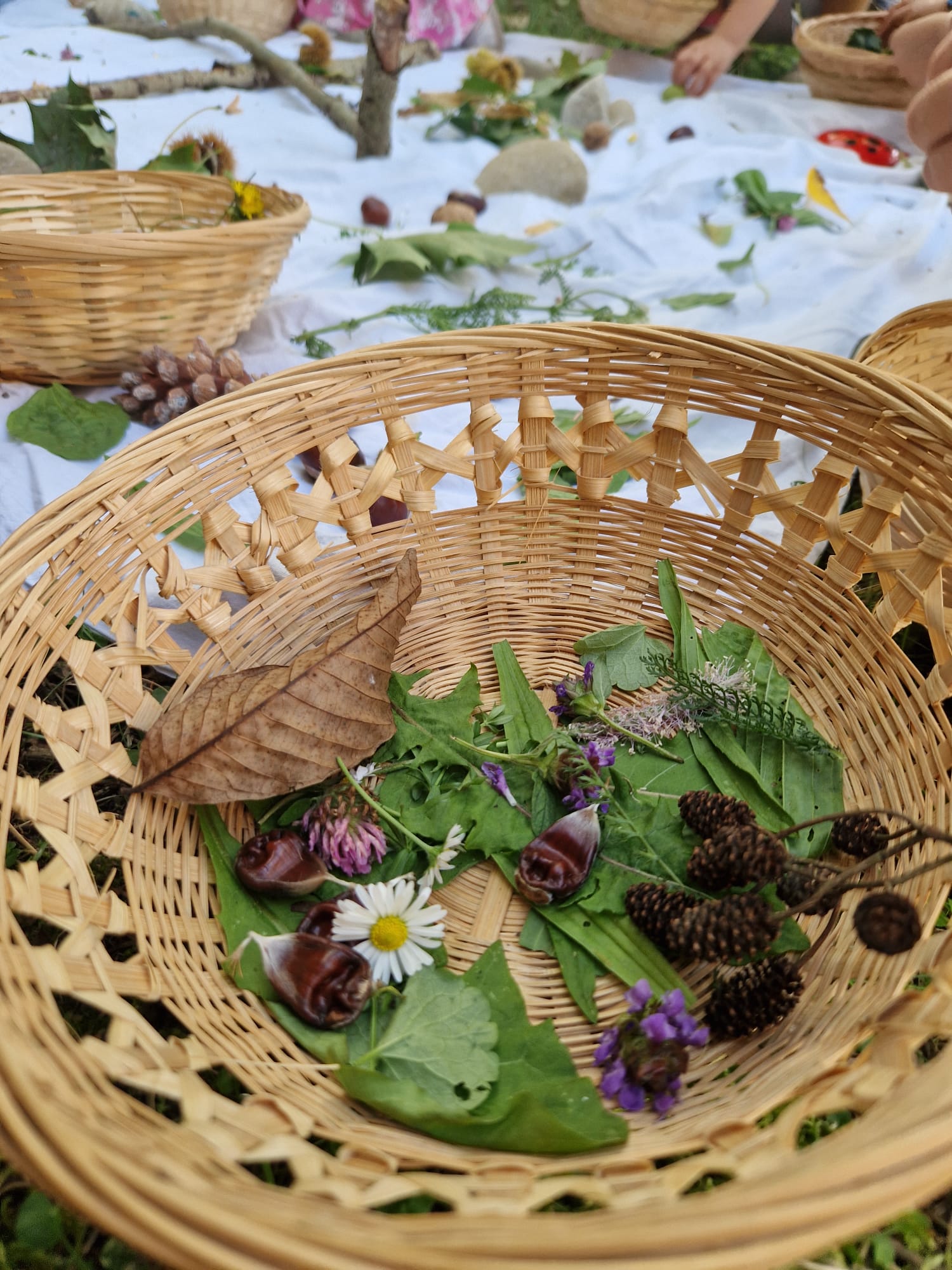 kräuterkob groß mit mandalas im hintergrund