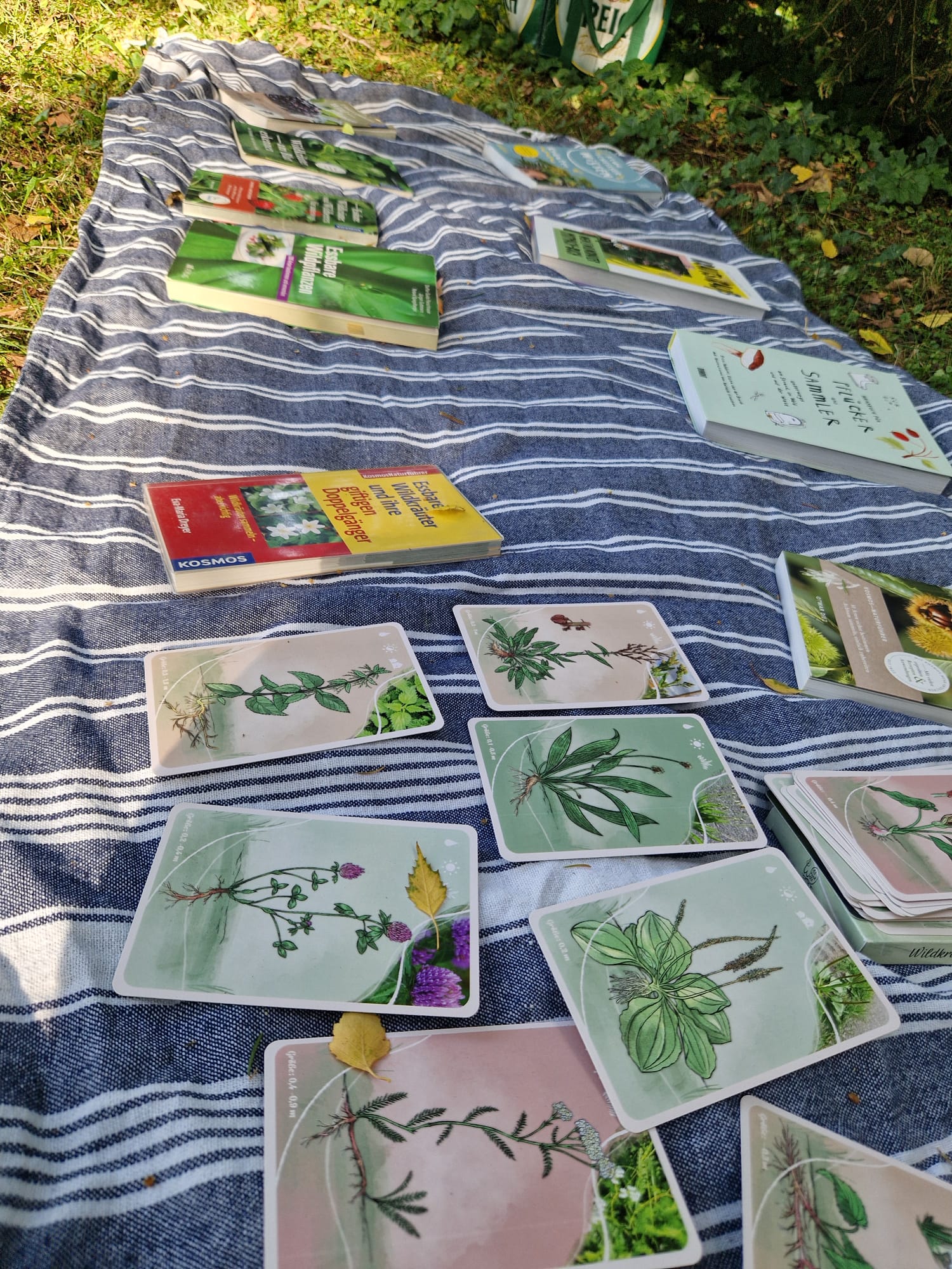 kräuterwissen bücher auf decke