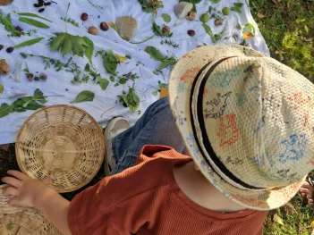 david home (4000 x 3000 px)