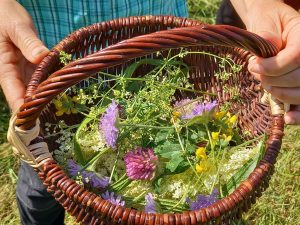 Wildkräuter-Sammelkorb