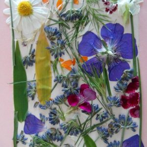 blumenbild