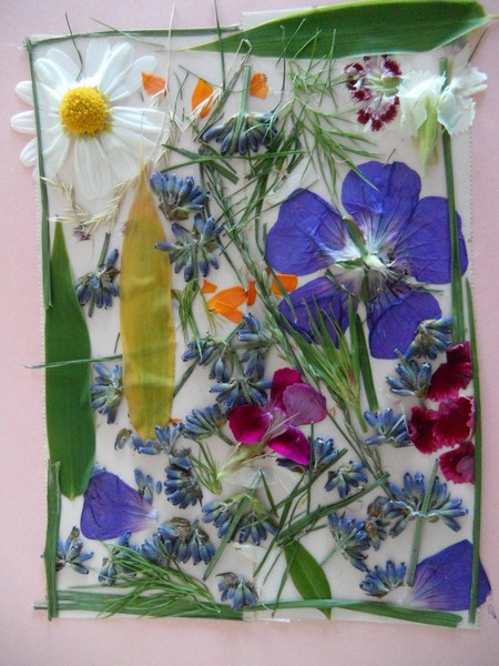 blumenbild