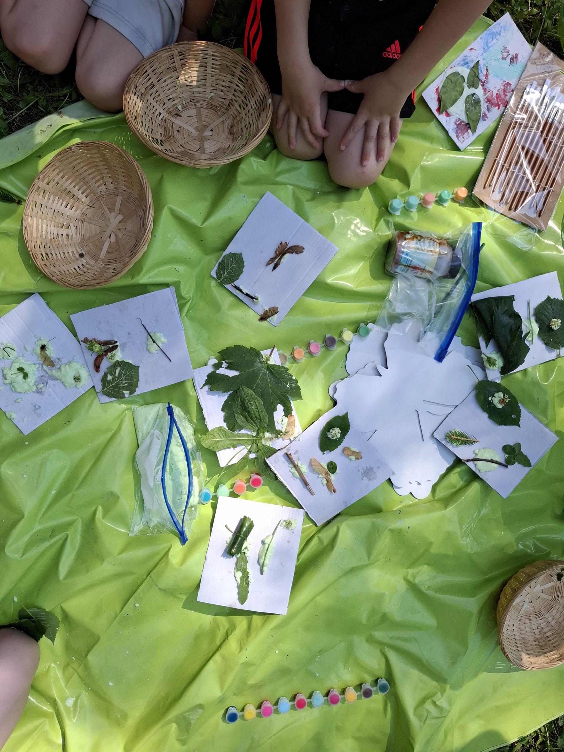 schmetterlinggeburtstag